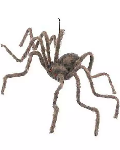 50 Inch Hairy Spider 1 50 Inch Hairy Spider