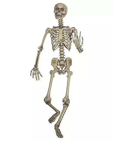 5 Ft Hanging Skeleton Decoration 1 5 Ft Hanging Skeleton Decoration
