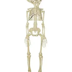 20 Inch Two-Headed Skeleton