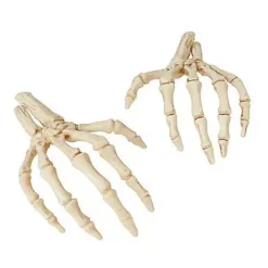 Skeleton Hands