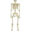 5 Ft Blacklight Skeleton