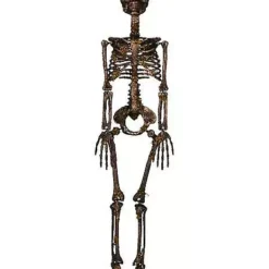 Moss Skeleton -Creepy Decor Store 01477140 d