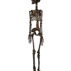 Moss Skeleton -Creepy Decor Store 01477140 e