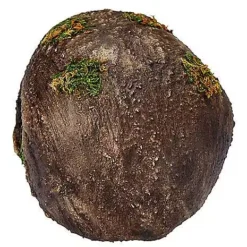 Moss Skull -Creepy Decor Store 01477157 c