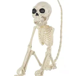 Monkey Skeleton