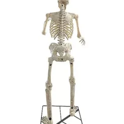 6 Ft Grim Animatronic 11 6 Ft Grim Animatronic -Creepy Decor Store 01512730 e