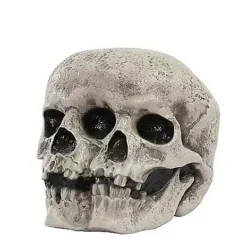 Mutant Skull 6 Mutant Skull -Creepy Decor Store 01528868 c