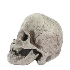Mutant Skull 7 Mutant Skull -Creepy Decor Store 01528868 d