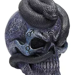 Mystical Arts Snake Skull 6 Mystical Arts Snake Skull -Creepy Decor Store 01542786 c
