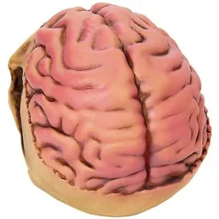 Skull With Brain Decoration -Creepy Decor Store 01573070 c