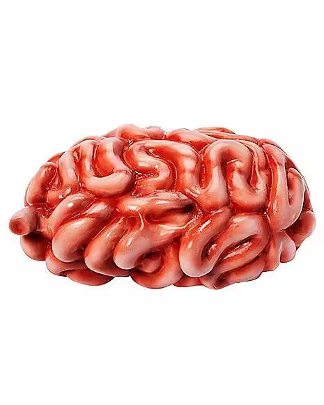 Intestines Prop 2 Intestines Prop - Image 2