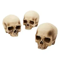 Jawless Skull Set - 3 Pack